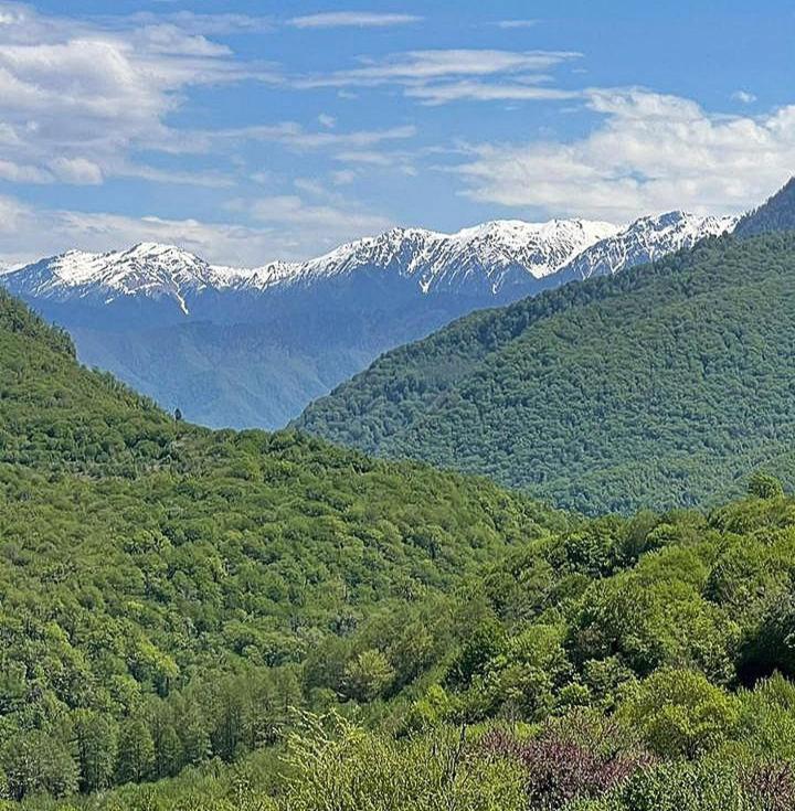 Гостевой Дом "Амза" Bed and Breakfast Tqvarcheli Esterno foto